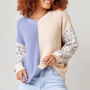 Francesca’s Leopard Block Sweater